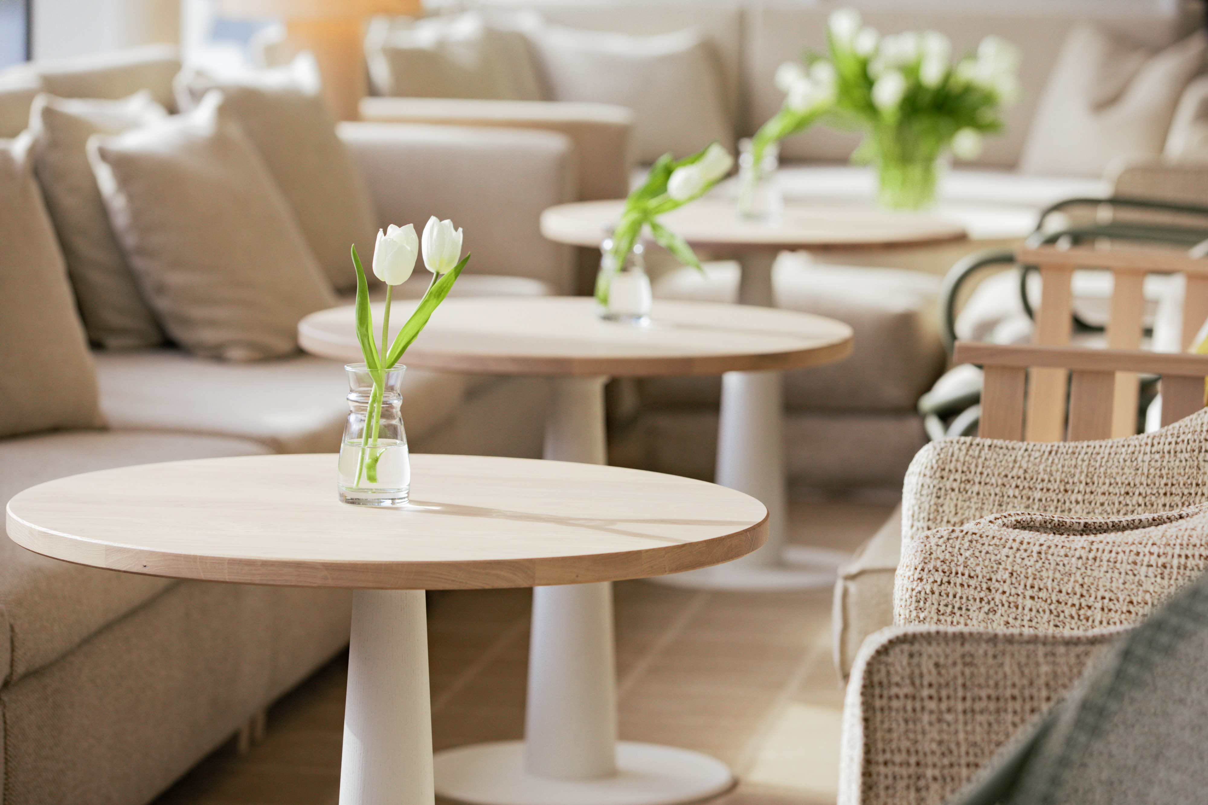 APT Solara - The Salon